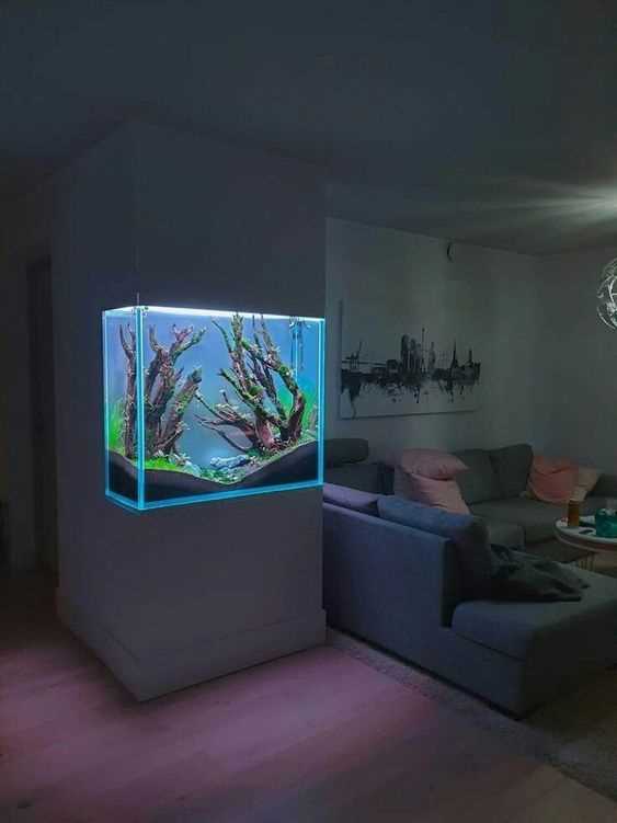 Aquarium d'interieur