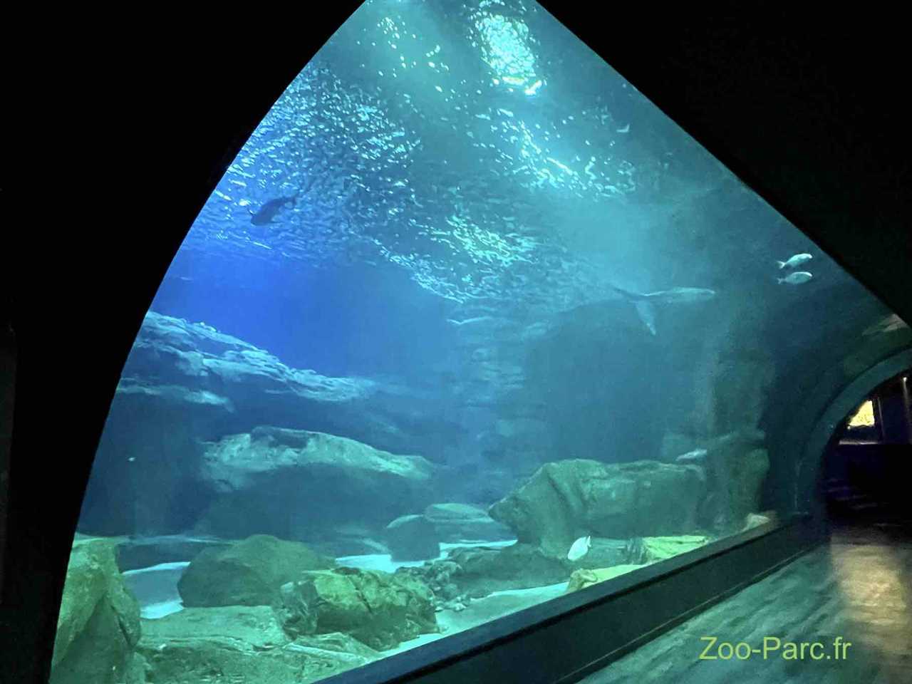 Reduction aquarium de paris
