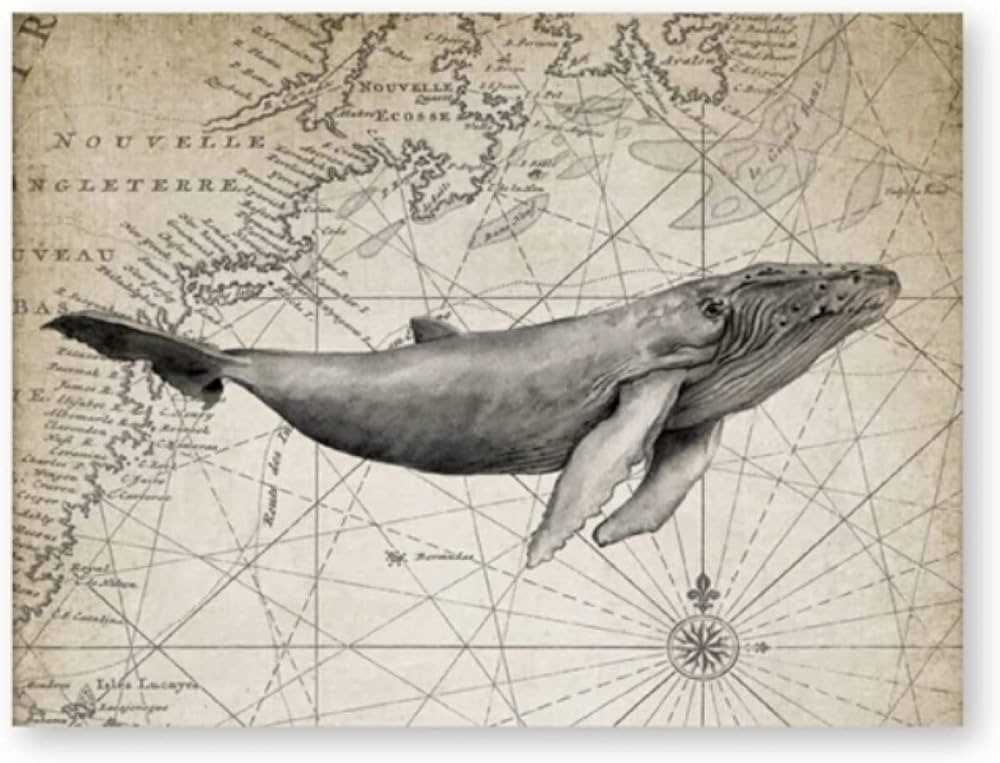 Conseils d'illustration pour dessiner une baleine